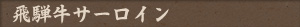 飛騨牛サーロイン