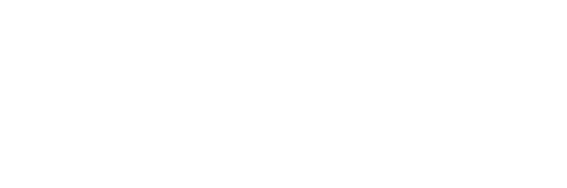 ご飯に乗せる