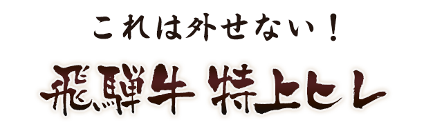 飛騨牛 特上ヒレ